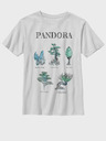 ZOOT.Fan Twentieth Century Fox Pandora Flora Sketches Majica dječja